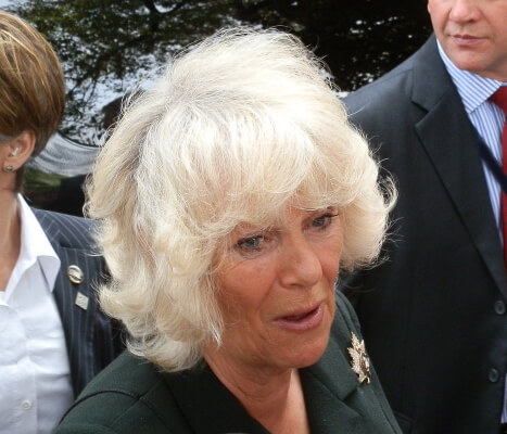 Camilla Duchess of Cornwall visits London Taxi Driver Charity